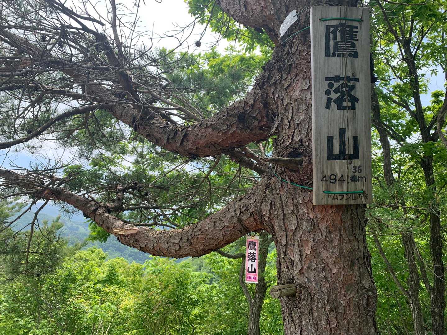 蓮如山-鷹落山 縦走コースの写真
