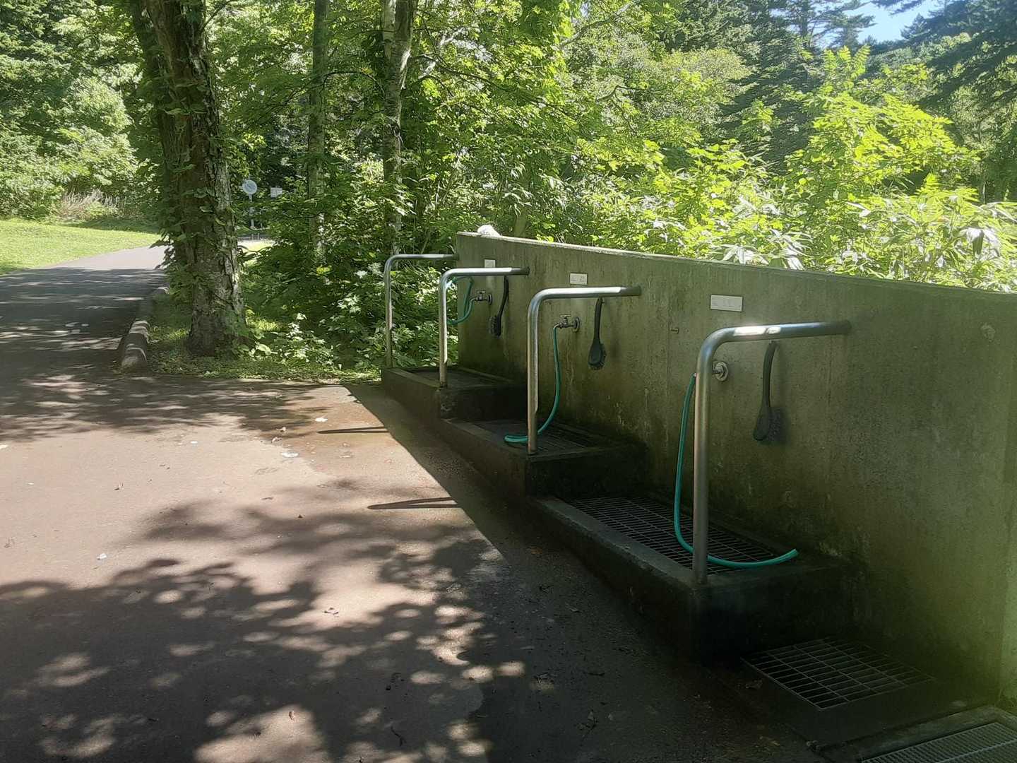 固有種持ち出さない