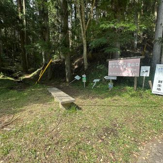 群生地と登山口の間はそんなに距離ない