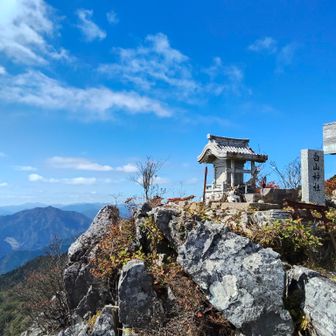 奥工石山（立川工石山）へ
左側の反り立った山はおそらく大登岐山。
過去最大に山登りがキツかった山😅
