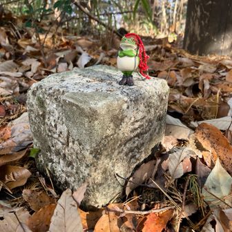 通り過ぎてしまいそうな三角点⭐︎