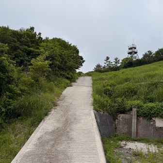 帰りに前から気になっていた山に⛰️
ここを登ります