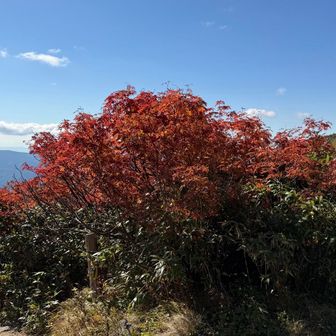 めっちゃ綺麗やった✨