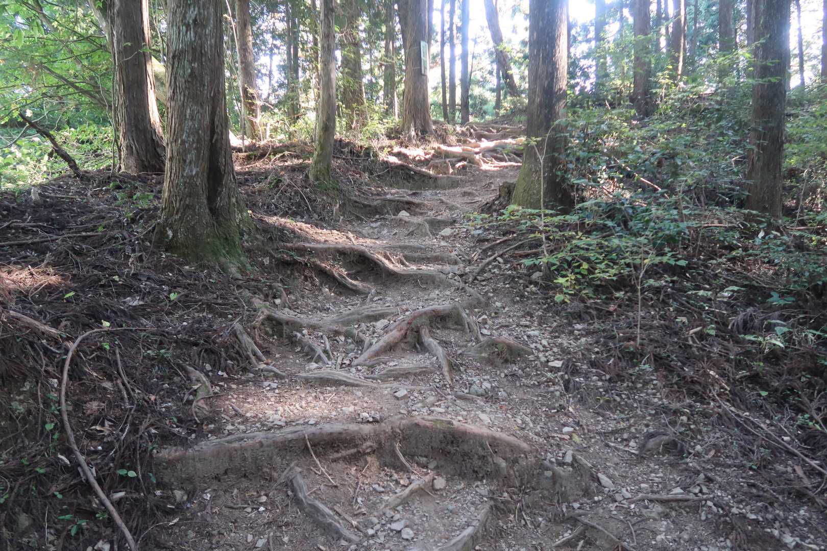 けっこう急です。