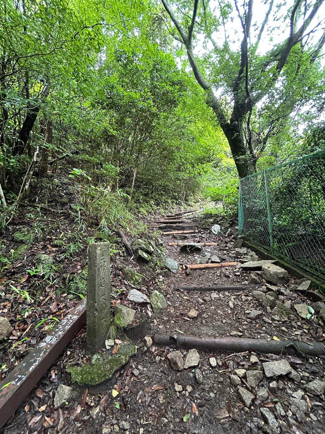 出た😳稲妻坂〜天狗道
戻らへんの？ほんまに行くの？ってもう1人の私が何度も問う😅