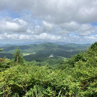 こんな感じ、、、蒜山の山頂はガスの中