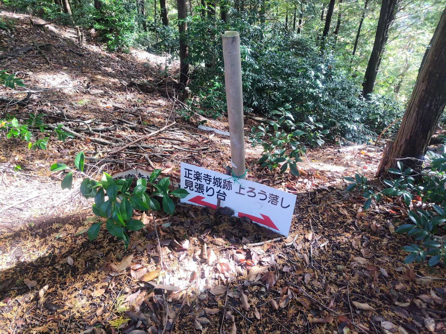 まずは正楽寺山へGO🚶