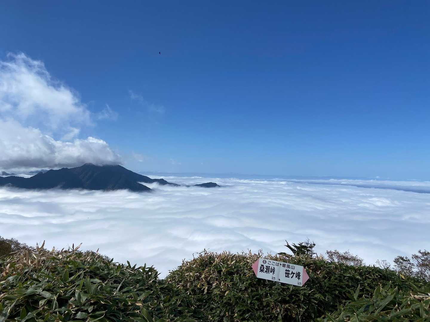素晴らしい〜
こんな景色は初めて見た❗️