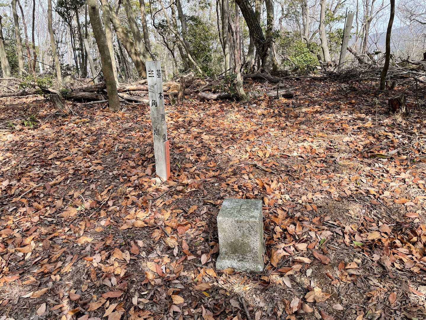 洞山登山口-洞山 往復コースの写真