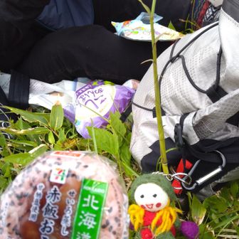 山頂でおにぎりを