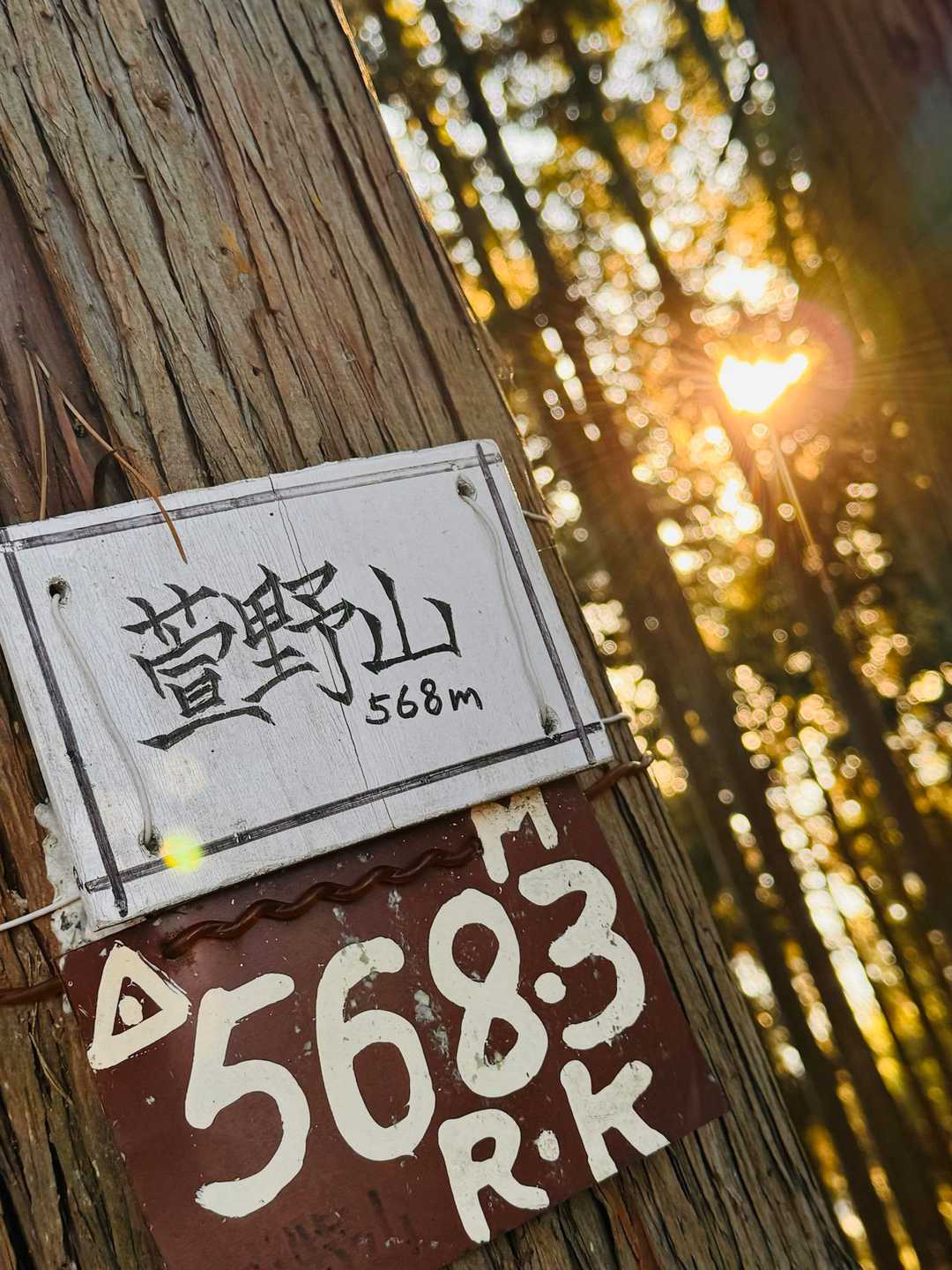 吾妻山入り口-吾妻山登山口-吾妻山-岩木戸山-大形山 往復コースの写真