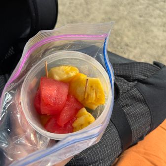 六甲山頂上で食べたフルーツは疲労困憊の体に沁みすぎた🥭