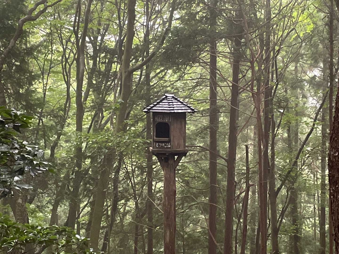 ひらがなでとりのこさんと書いてある🦉