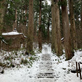 杉並木一の坂を登って行きます。🌲🌲