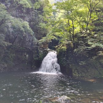 千手滝