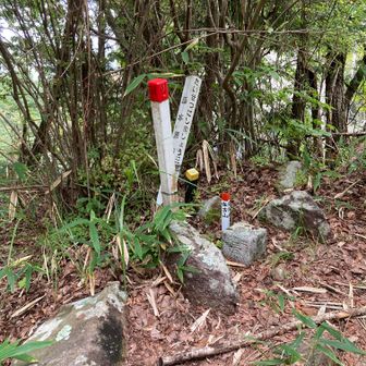 保古山山頂　970.1m三角点
