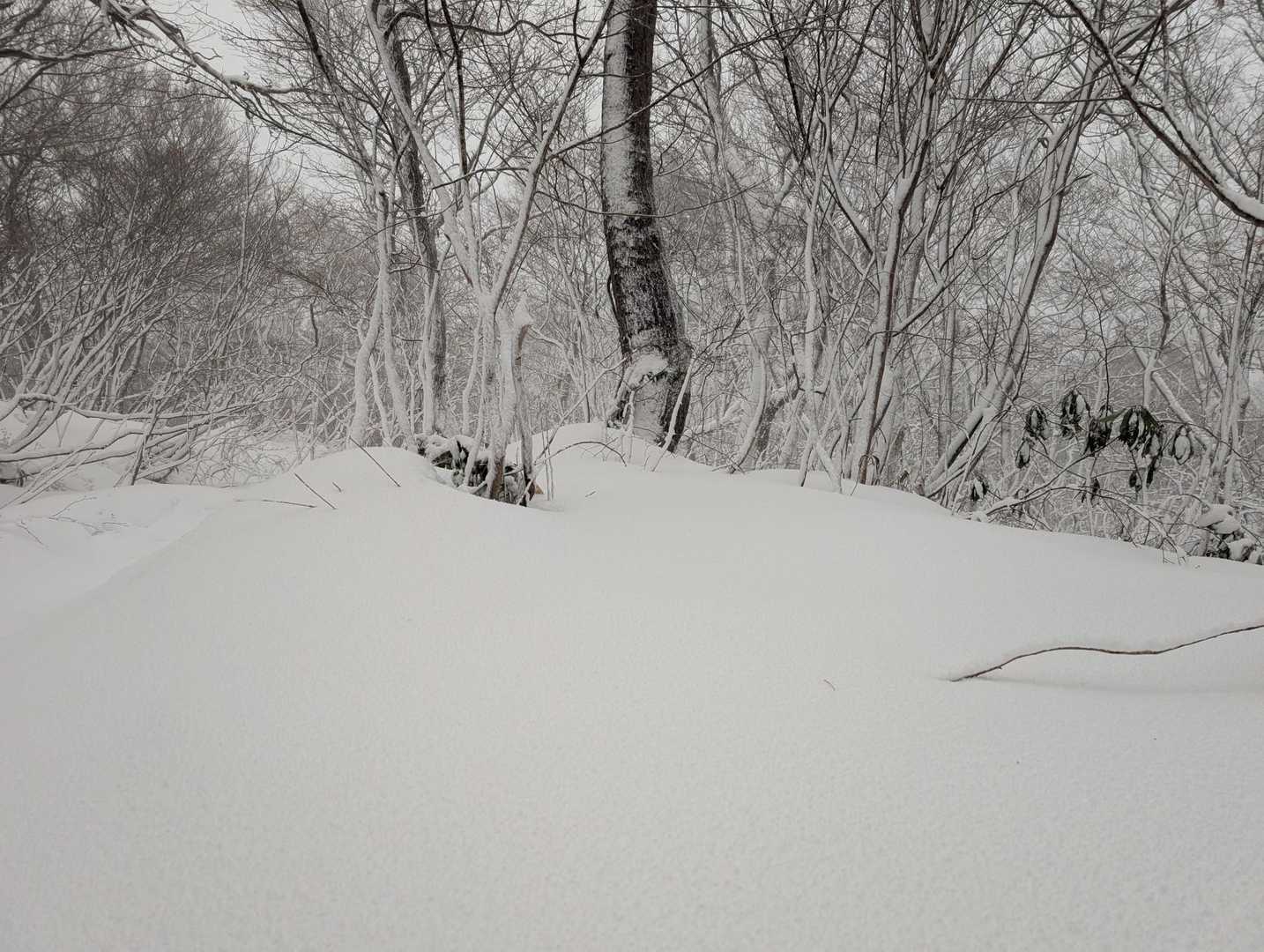 降雪時の４時半は、もう薄暗くなつてしまった。