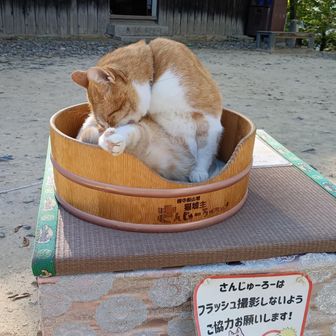 城主のさんじゅ〜ろ〜
