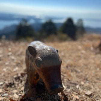 かわいこちゃん、こんにちは。