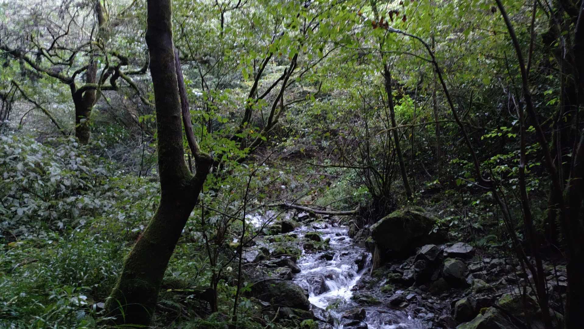 ひんやりした空気も水の音もきもちいい～😊