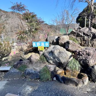 飲めるけど飲めないらしい湧き水。手がカサカサしてたので洗いました