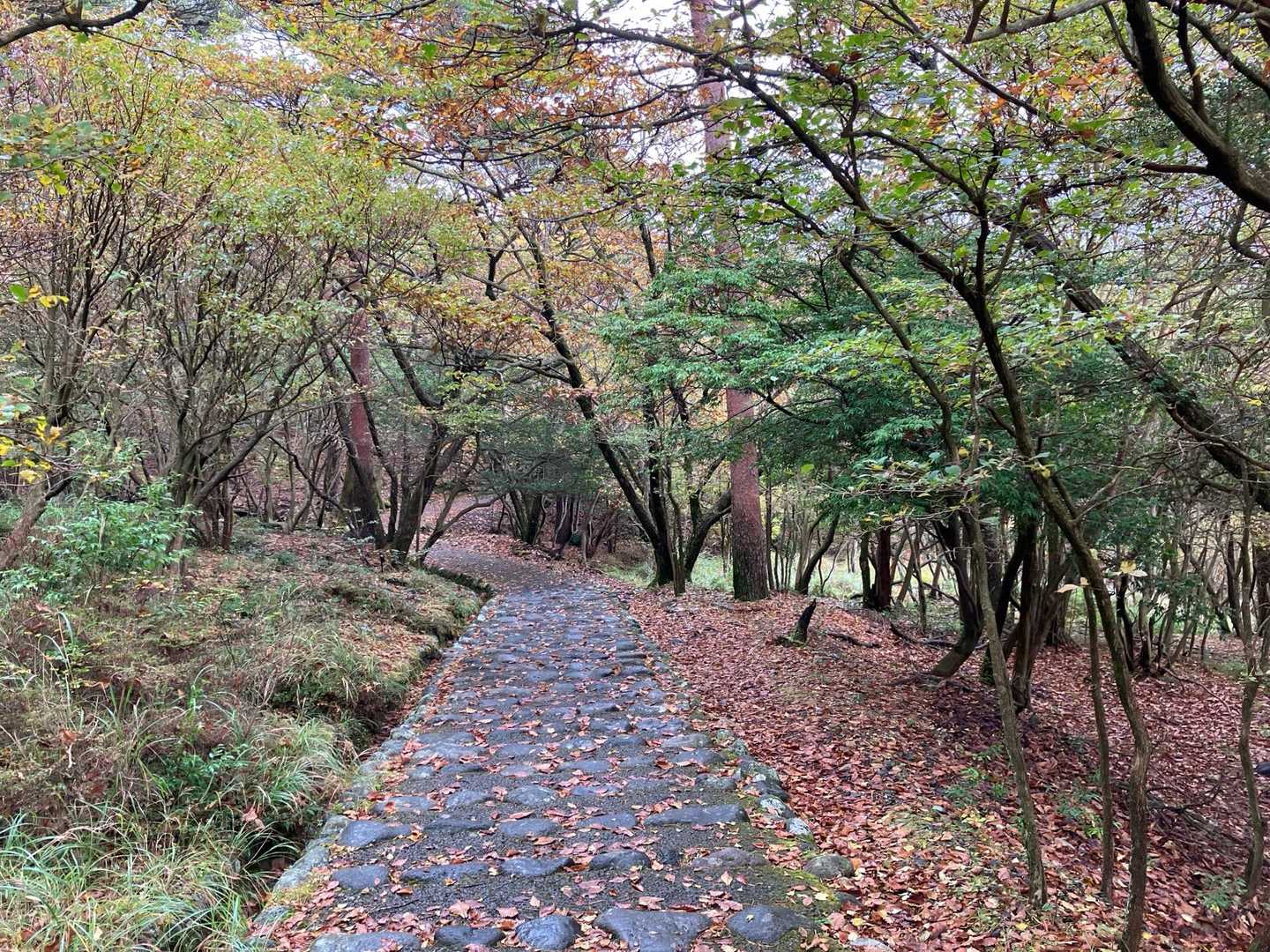 整備された遊歩道で戻ります
外国人が何組か歩いてました。