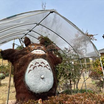 トトロいた！😳