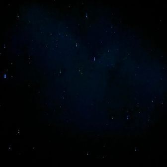 星が綺麗でした