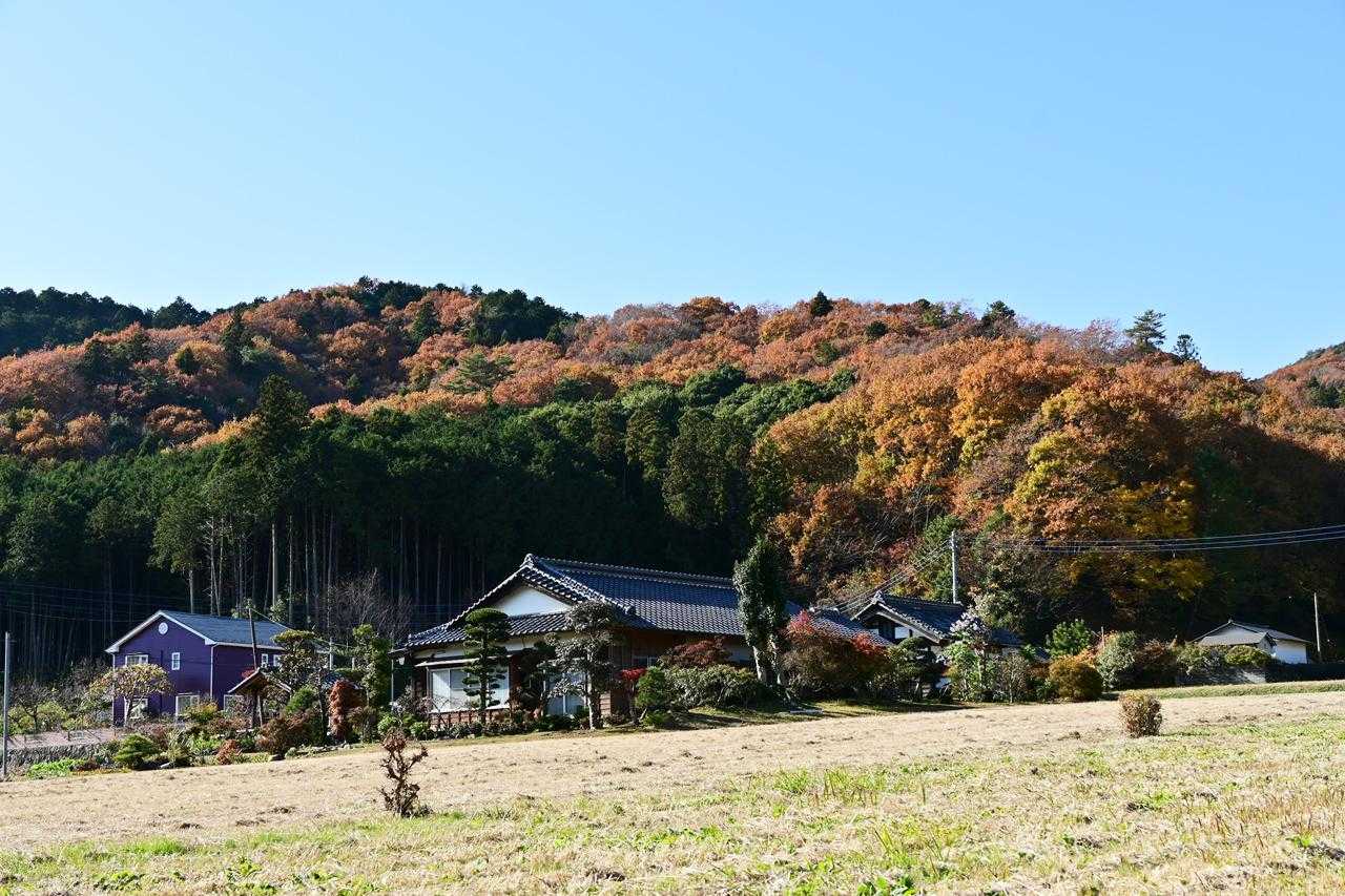 10月に始まった秋遠征もようやくこれですべて終了