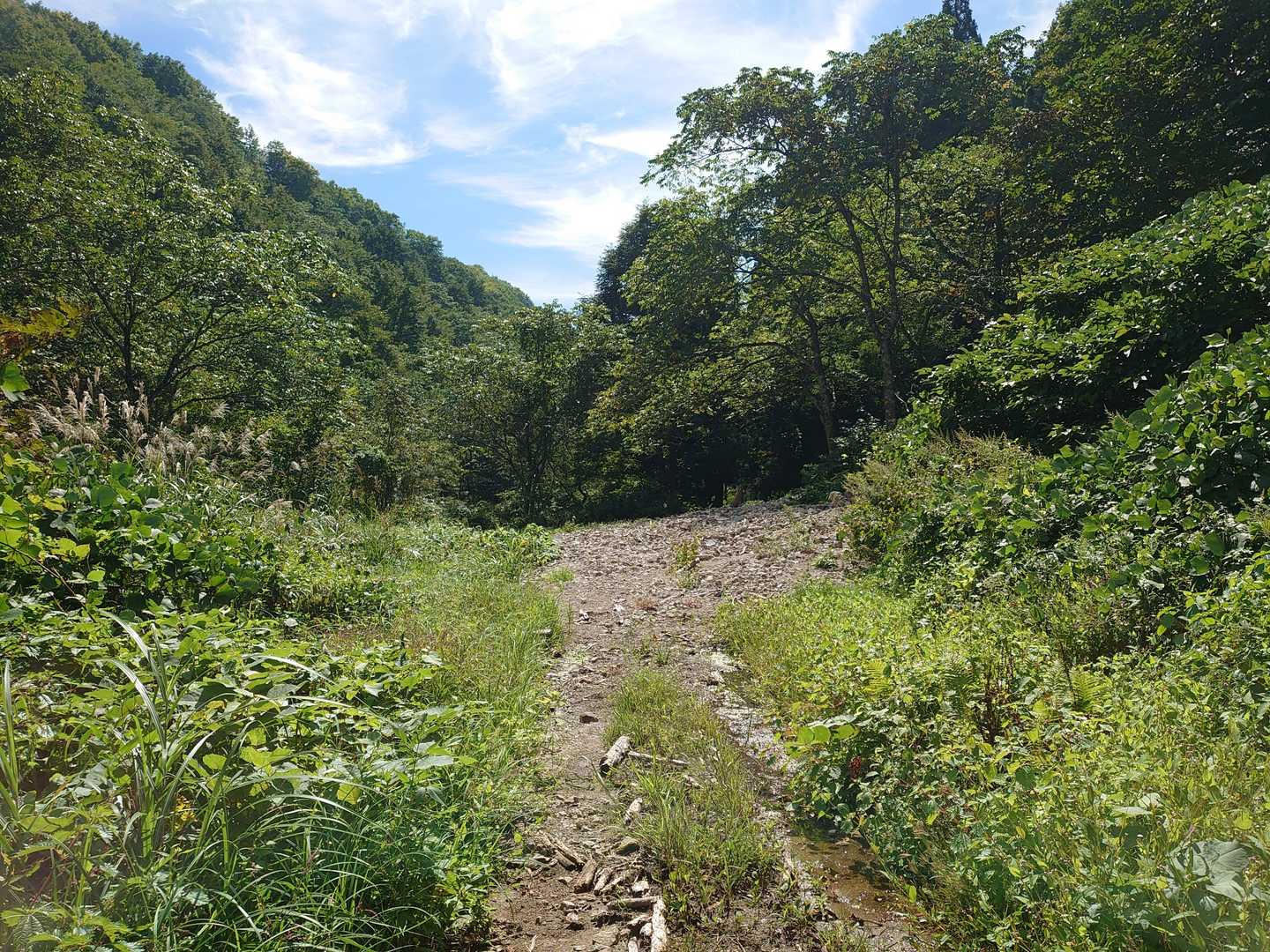 沢から石が大量に流れてきたようだ😓