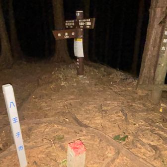 醍醐丸（867m）は、実は陣馬山（855m）よりも標高が高く、八王子市の最高峰です。最重要部分が最高峰とは、醍醐丸やるな〜！