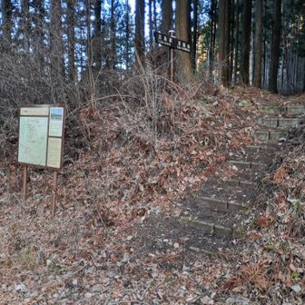 ここが、吾嬬山登山口ということらしい。駐車スペース有り、となっていたが、路側のみ。