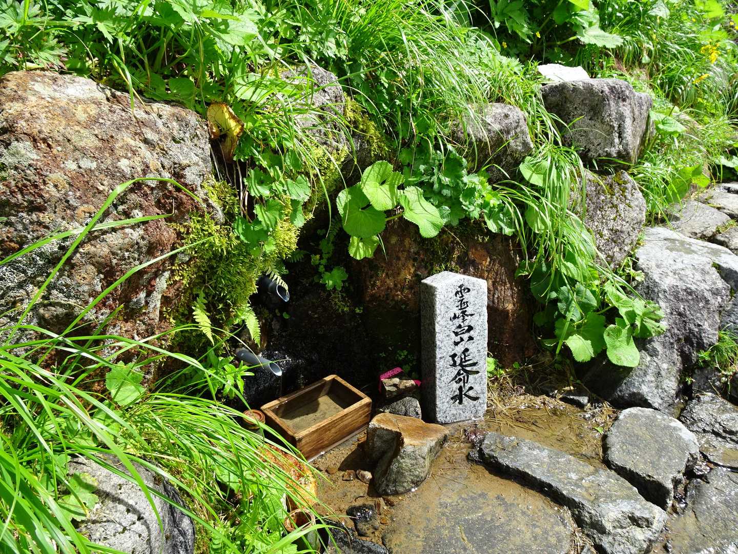 水はちょろっとしかでてなかった😞