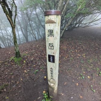 黒岳(No.57)山梨百名山標柱