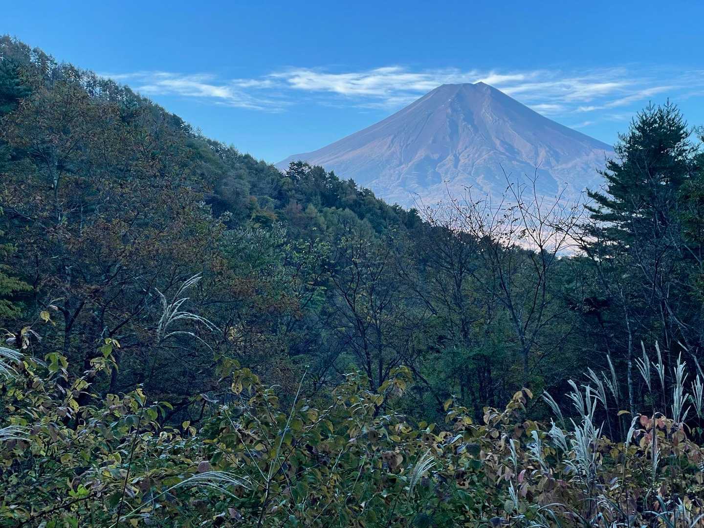 このコースの各所にビューポイントがあり、この様な立派な富士山が見えます🗻　