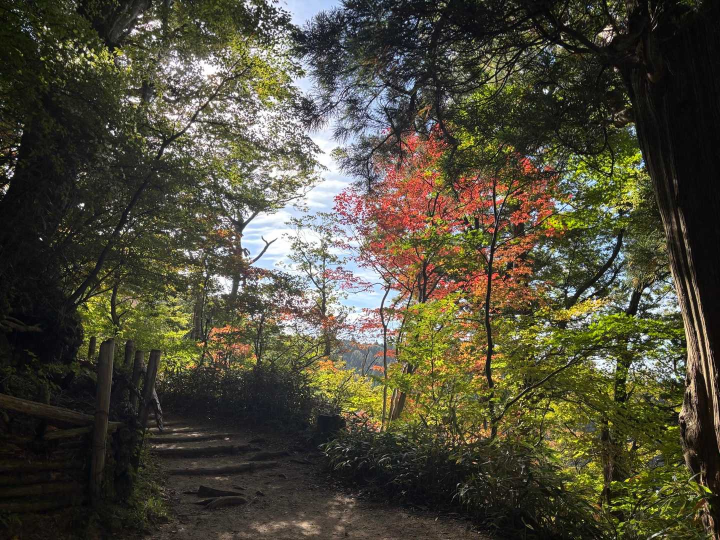 紅葉始まってる🍁