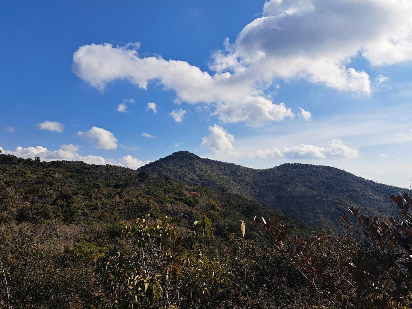 あの山から歩いて来たんだよ
