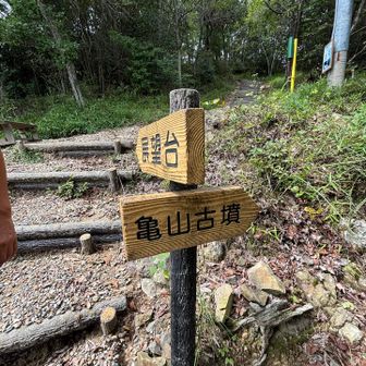 展望台まで戻って
マムシ注意の看板にビビって岩嵩山はやめました
亀山へ