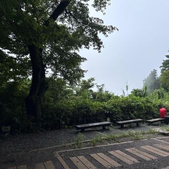 もみじ台到着。よーし、今日のメインイベント！