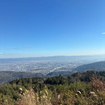 寒かったので大沢山までラン
当たり前のように道は何度か間違えてたと思うw
大沢山からの眺望ヨシ✨
ベンチもあるし、ここでご飯休憩も大いにアリだと思う👍