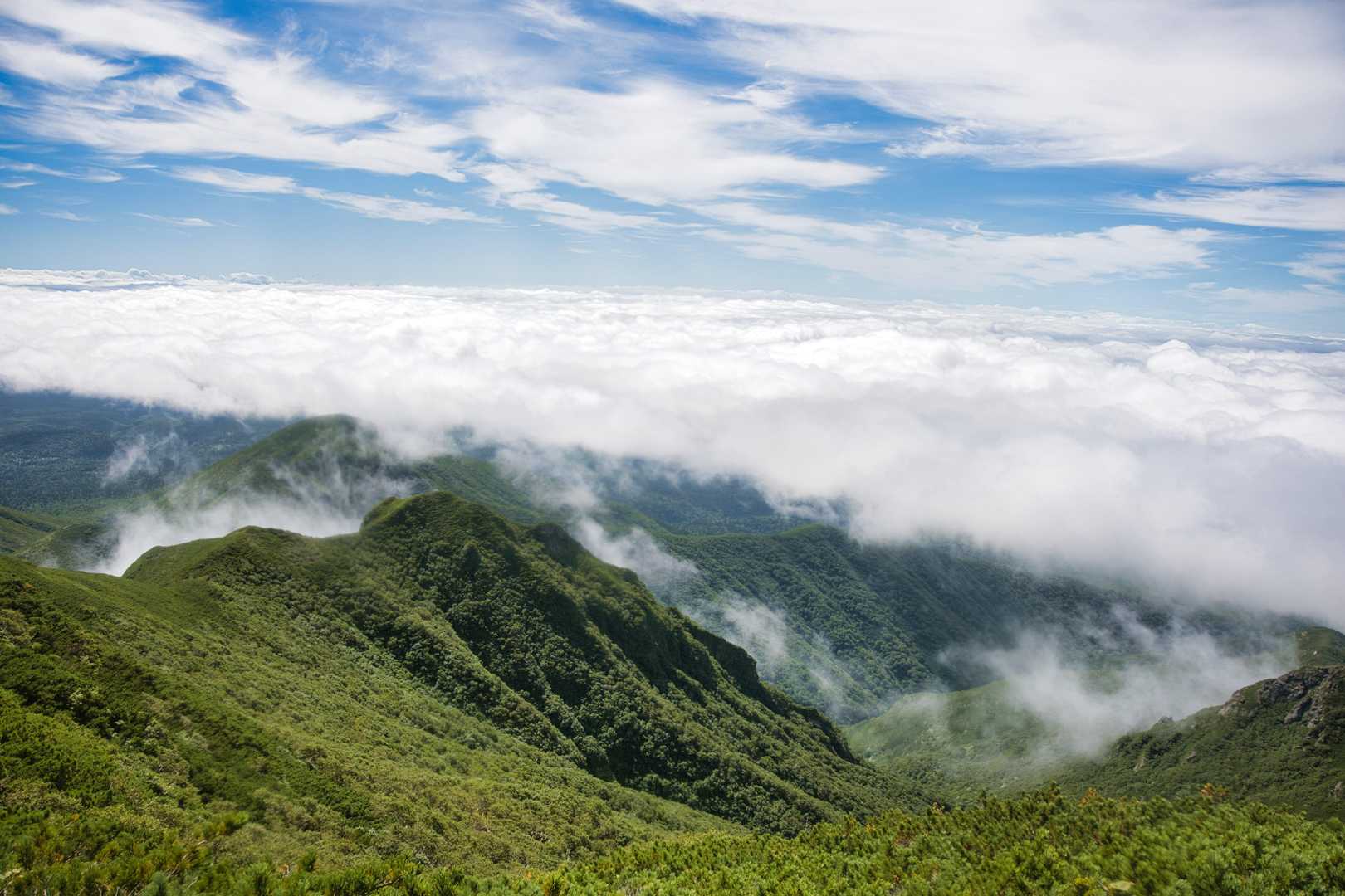 雲海の境界線がこんなにハッキリ見えるの、ちょっと感動した！🤩