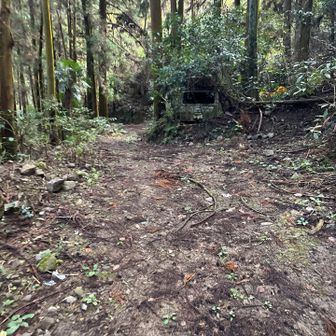 車　何でそうなったんやろ
😱