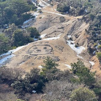 これを見に来た！