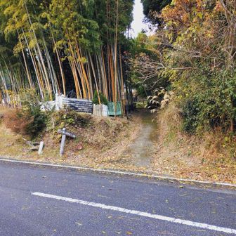 降りてきました
階段多かった😅