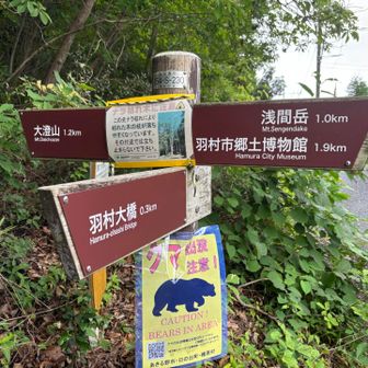 これね。
どこもクマ警告の張り紙が貼られています。
だって、確実に居ますからね、この辺り。