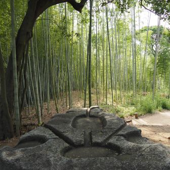 酒船石(酒船石遺跡)
平らにした石の表面に奇妙な彫刻が施された巨大な花崗岩。酒造りに使用したとのいい伝えからこの名がついた
水を使って占いする祭祀に使われていたとも