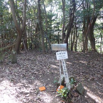 トギシ山に到着