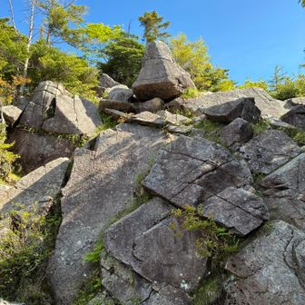 小屋裏にある岩場
富士山も見れるらしい