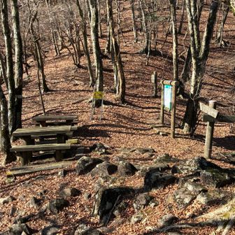 この先は一ノ岳
今回はお預けで、右下↘️の谷筋を降ります