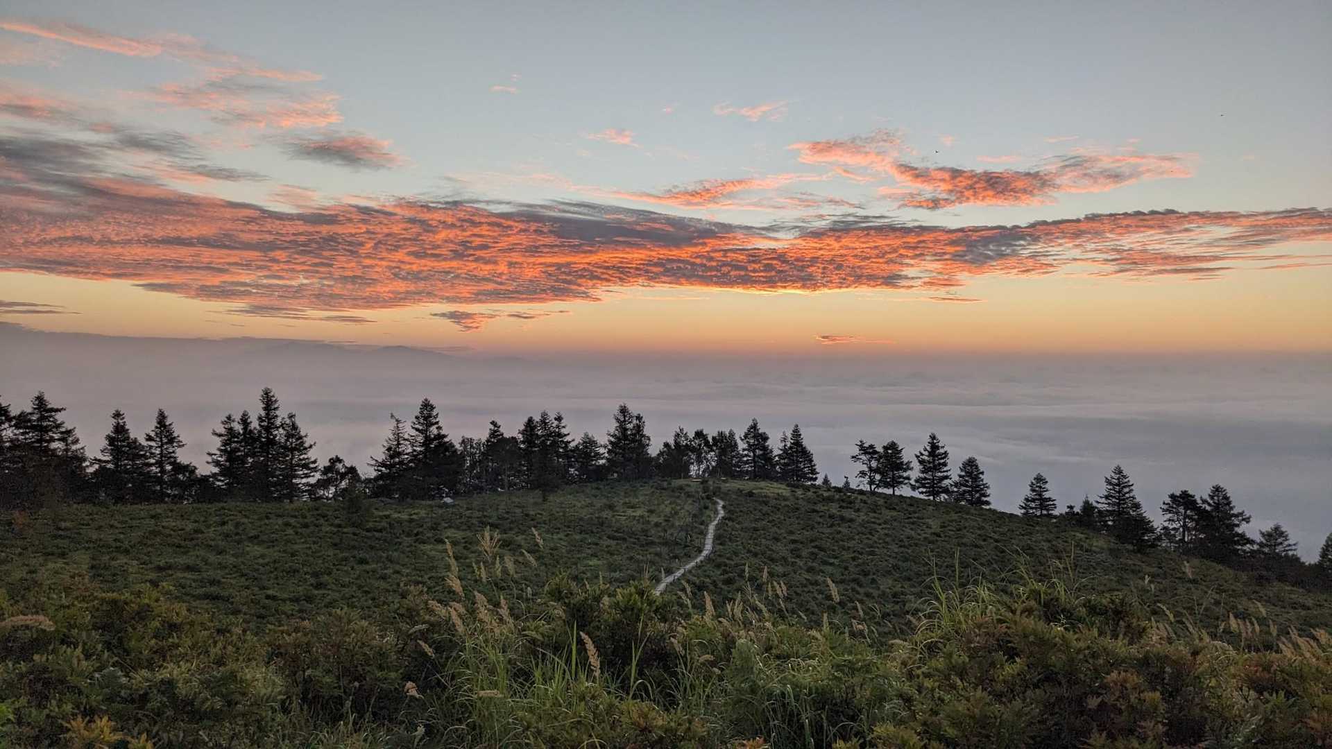 甘利山登山口-甘利山-南甘利山 往復コースの写真